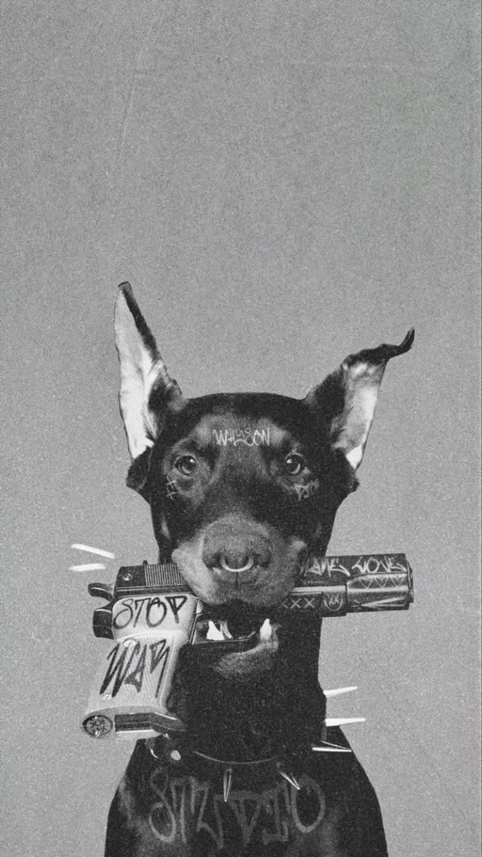 DABLZ campaign dog portrait
